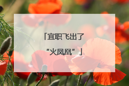 宜职飞出了“火凤凰”