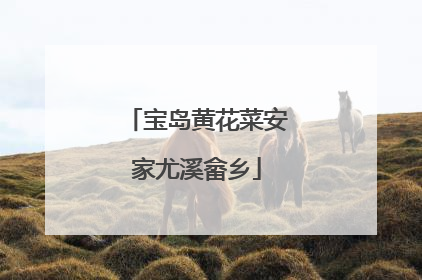 宝岛黄花菜安家尤溪畲乡
