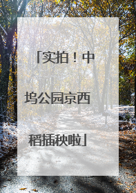 实拍！中坞公园京西稻插秧啦