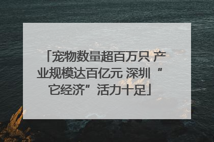 宠物数量超百万只 产业规模达百亿元 深圳“它经济”活力十足