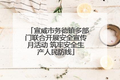 宣威市务德镇多部门联合开展安全宣传月活动 筑牢安全生产人民防线