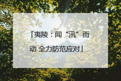 夷陵：闻“汛”而动 全力防范应对