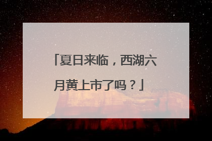 夏日来临，西湖六月黄上市了吗？