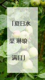 夏日水果 琳琅满目