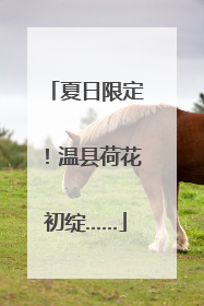 夏日限定！温县荷花初绽……