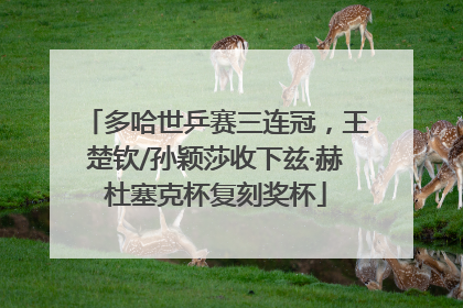 多哈世乒赛三连冠，王楚钦/孙颖莎收下兹·赫杜塞克杯复刻奖杯