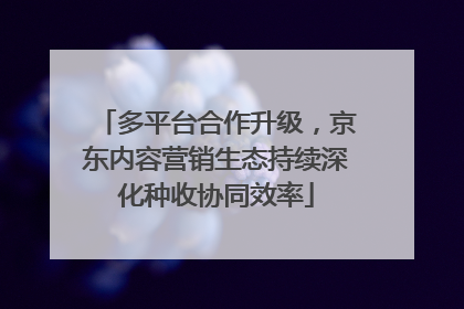 多平台合作升级，京东内容营销生态持续深化种收协同效率