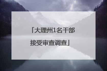 大理州1名干部接受审查调查