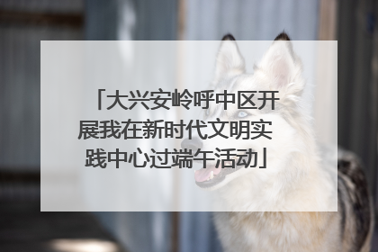 大兴安岭呼中区开展我在新时代文明实践中心过端午活动