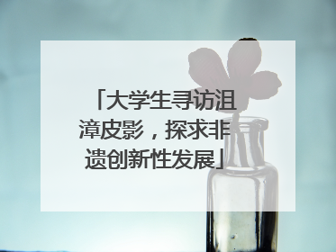 大学生寻访沮漳皮影，探求非遗创新性发展