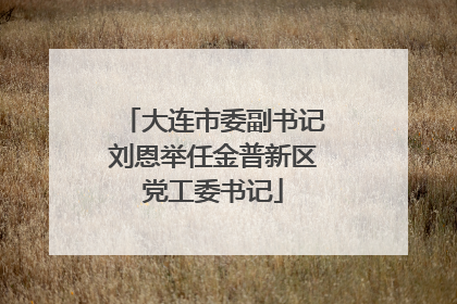 大连市委副书记刘恩举任金普新区党工委书记