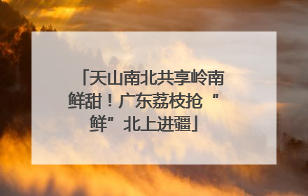 天山南北共享岭南鲜甜！广东荔枝抢“鲜”北上进疆