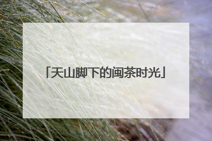 天山脚下的闽茶时光