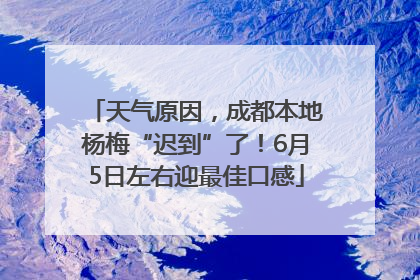 天气原因，成都本地杨梅“迟到”了！6月5日左右迎最佳口感