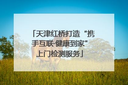 天津红桥打造“携手互联·健康到家”上门检测服务