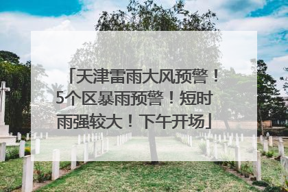 天津雷雨大风预警！5个区暴雨预警！短时雨强较大！下午开场
