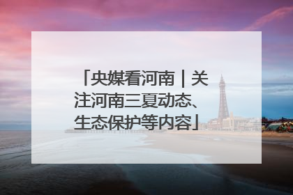 央媒看河南｜关注河南三夏动态、生态保护等内容