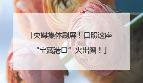 央媒集体刷屏！日照这座“宝藏港口”火出圈！