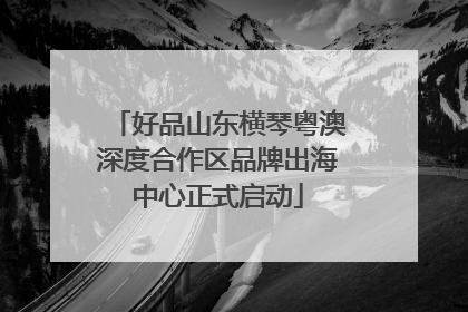好品山东横琴粤澳深度合作区品牌出海中心正式启动
