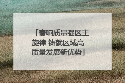 奏响质量强区主旋律 铸就区域高质量发展新优势