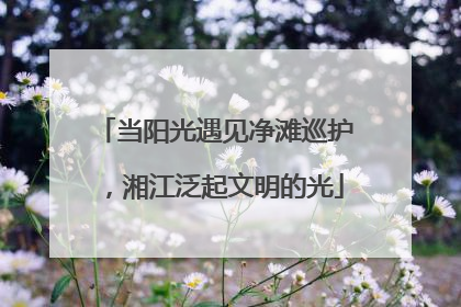 当阳光遇见净滩巡护，湘江泛起文明的光