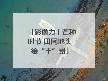 影像力丨芒种时节 田间地头绘“丰”景
