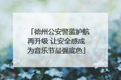 德州公安警蓝护航再升级 让安全感成为音乐节最强底色