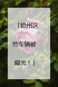 德州这些车辆被曝光！