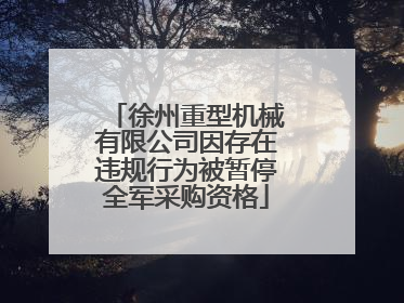 徐州重型机械有限公司因存在违规行为被暂停全军采购资格