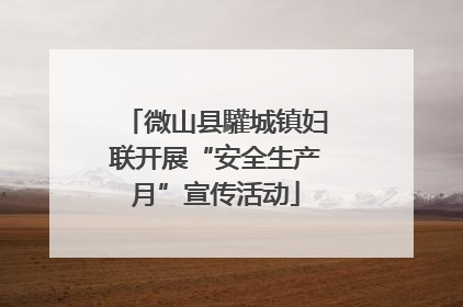 微山县驩城镇妇联开展“安全生产月”宣传活动