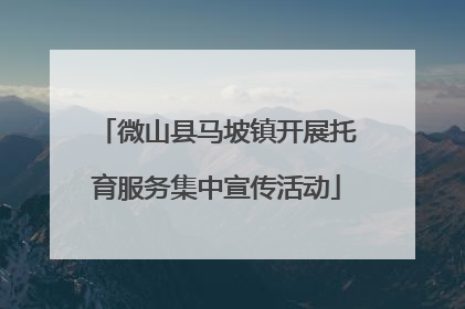 微山县马坡镇开展托育服务集中宣传活动