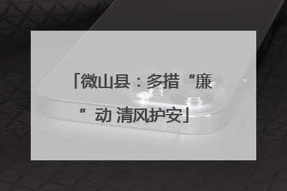 微山县：多措“廉”动 清风护安
