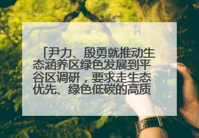 尹力、殷勇就推动生态涵养区绿色发展到平谷区调研，要求走生态优先、绿色低碳的高质量发展之路