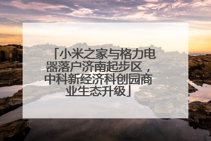小米之家与格力电器落户济南起步区，中科新经济科创园商业生态升级