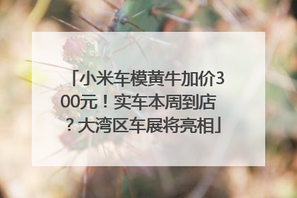 小米车模黄牛加价300元！实车本周到店？大湾区车展将亮相