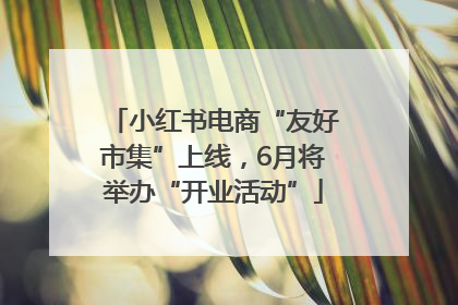 小红书电商“友好市集”上线，6月将举办“开业活动”