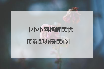 小小网格解民忧 接诉即办暖民心