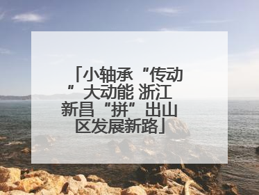 小轴承“传动”大动能 浙江新昌“拼”出山区发展新路