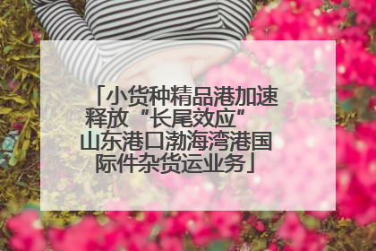 小货种精品港加速释放“长尾效应” 山东港口渤海湾港国际件杂货运业务