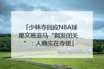 少林寺回应NBA球星文班亚马“剃发闭关”：人确实在寺里