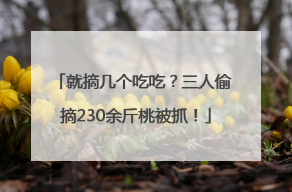 就摘几个吃吃？三人偷摘230余斤桃被抓！
