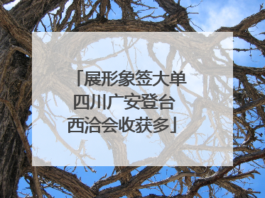 展形象签大单 四川广安登台西洽会收获多