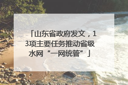 山东省政府发文，13项主要任务推动省级水网“一网统管”