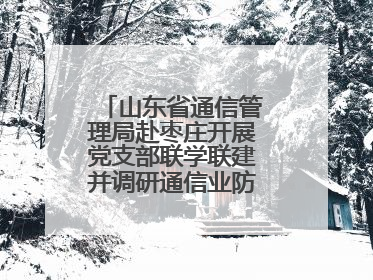 山东省通信管理局赴枣庄开展党支部联学联建并调研通信业防汛准备工作