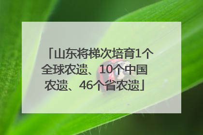 山东将梯次培育1个全球农遗、10个中国农遗、46个省农遗