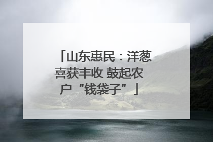山东惠民：洋葱喜获丰收 鼓起农户“钱袋子”