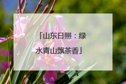 山东日照：绿水青山飘茶香
