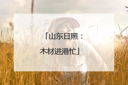 山东日照：木材进港忙