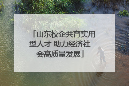 山东校企共育实用型人才 助力经济社会高质量发展