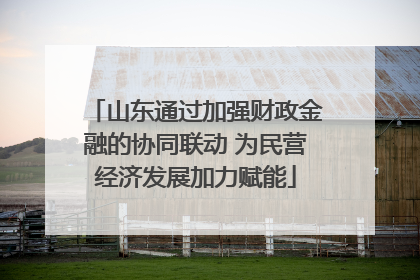 山东通过加强财政金融的协同联动 为民营经济发展加力赋能
